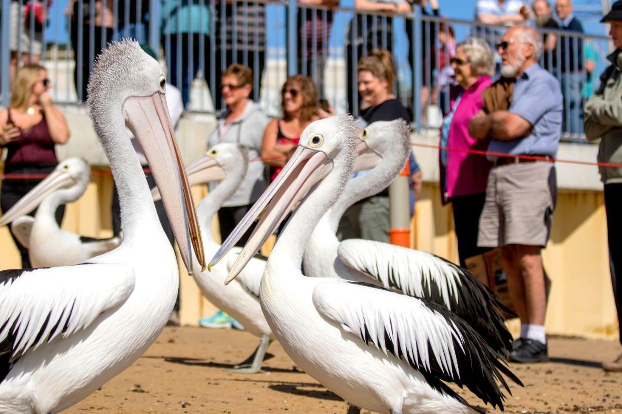 Big4 Ingenia Holidays Phillip Island نيوهيفن المظهر الخارجي الصورة